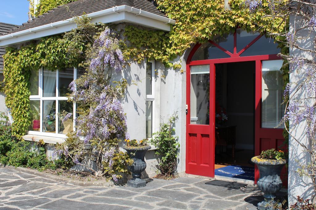 Adare Country House Buitenkant foto